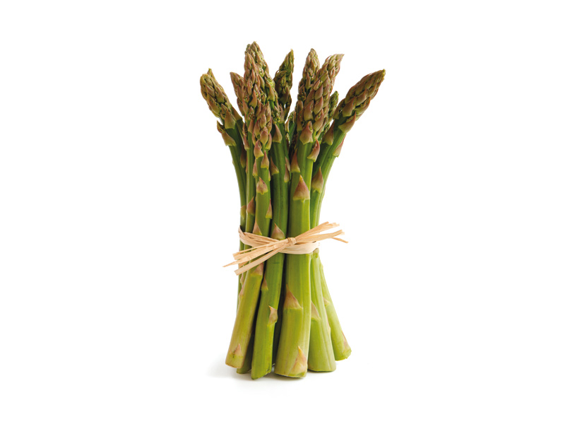 Asparago - Verdura - Linea Base - Orsini & Damiani