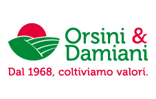 Logo - Orsini & Damiani