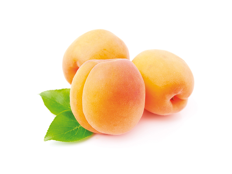 Albicocche | Albicocca | Orsini & Damiani