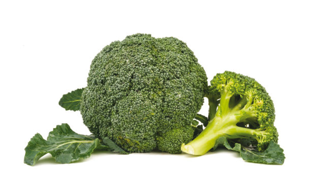 Broccoletto | Broccolo | Orsini & Damiani