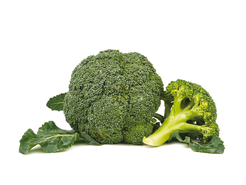 Broccoletto | Broccolo | Orsini & Damiani