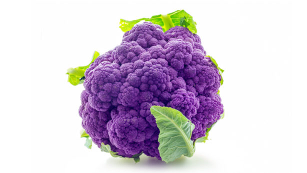 Cavolfiore Viola, "Violetto di Sicilia" | Orsini & Damiani