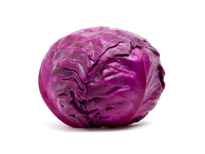 Cavolo cappuccio rosso - Verdura - Linea Base - Orsini & Damiani