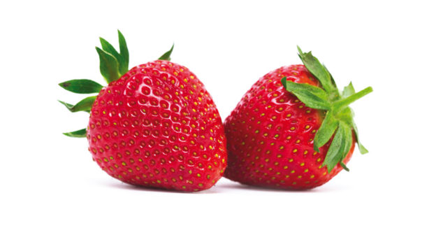 Fragole | Fragola | Orsini & Damiani