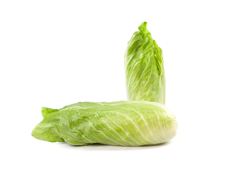 Pan di zucchero - Verdura - Linea Base - Orsini & Damiani