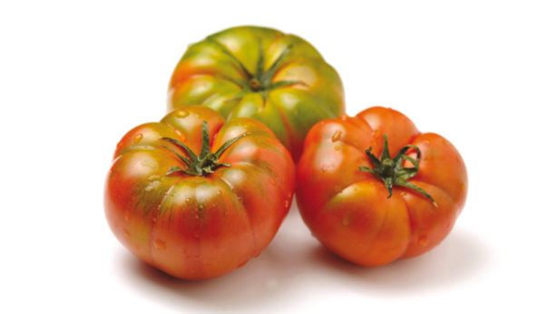 Pomodoro costoluto - Verdura - Linea Base - Orsini & Damiani