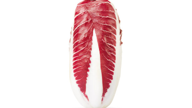 Radicchio precoce - Verdura - Linea Base - Orsini & Damiani