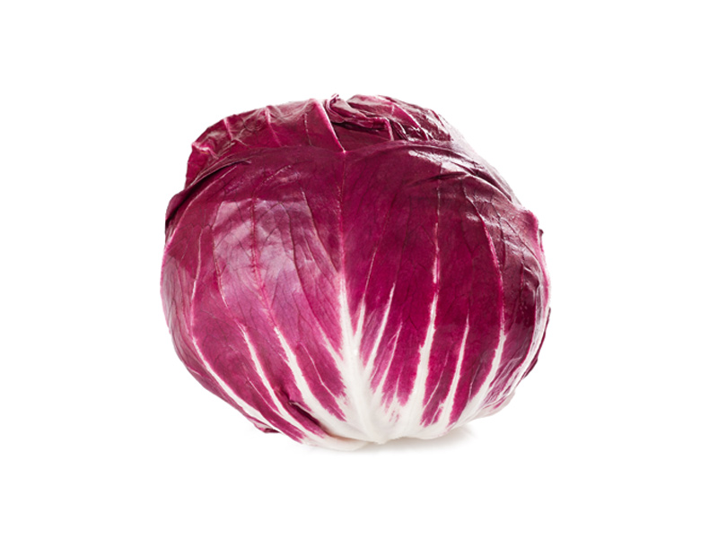 Tadicchio tondo - Verdura - Linea Base - Orsini & Damiani