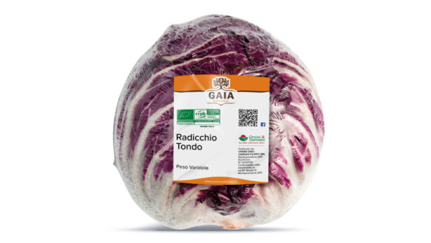 Radicchio tondo - Gaia Biologico - Orsini e Damiani