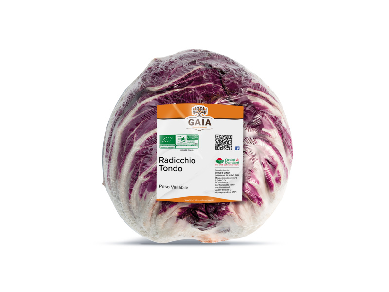 Radicchio tondo - Gaia Biologico - Orsini e Damiani
