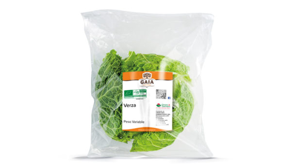 Verza - Gaia Biologico - Orsini e Damiani