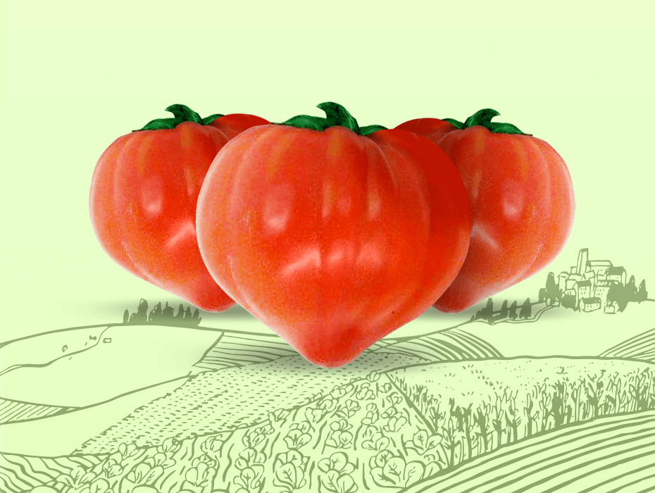 Amorissimo. Il pomodoro buonissimo! | Orsini & Damiani