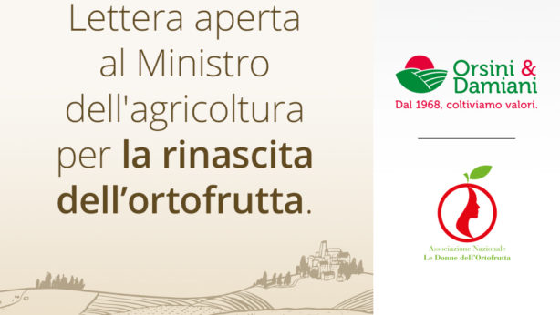 Lettera aperta al Ministro dell'Agricoltura per la rinascita dell'ortofrutta | Orsini & Damiani