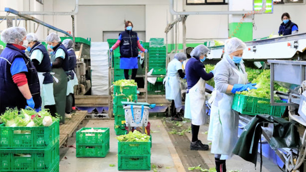 L’ortofrutta ai tempi dell’emergenza. Lettera aperta di Laura Damiani | Orsini & Damiani