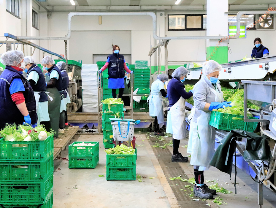 L’ortofrutta ai tempi dell’emergenza. Lettera aperta di Laura Damiani | Orsini & Damiani