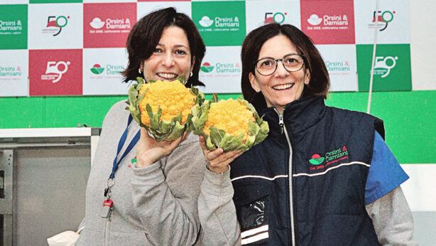 Da Orsini & Damiani, il primo cavolfiore romanesco arancione al mondo.