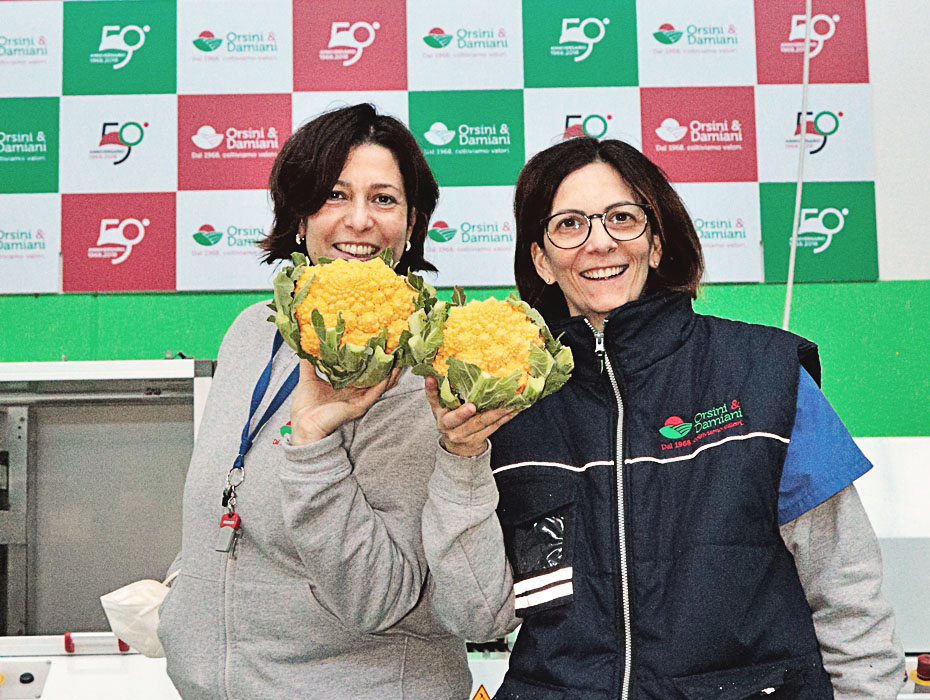 Da Orsini & Damiani, il primo cavolfiore romanesco arancione al mondo.