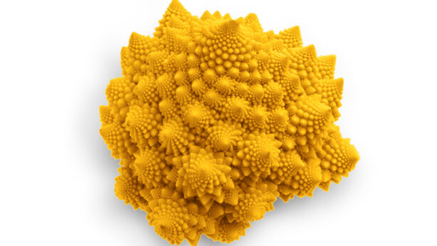 Cavolfiore romanesco arancione - Verdura - Linea Base  - Orsini & Damiani