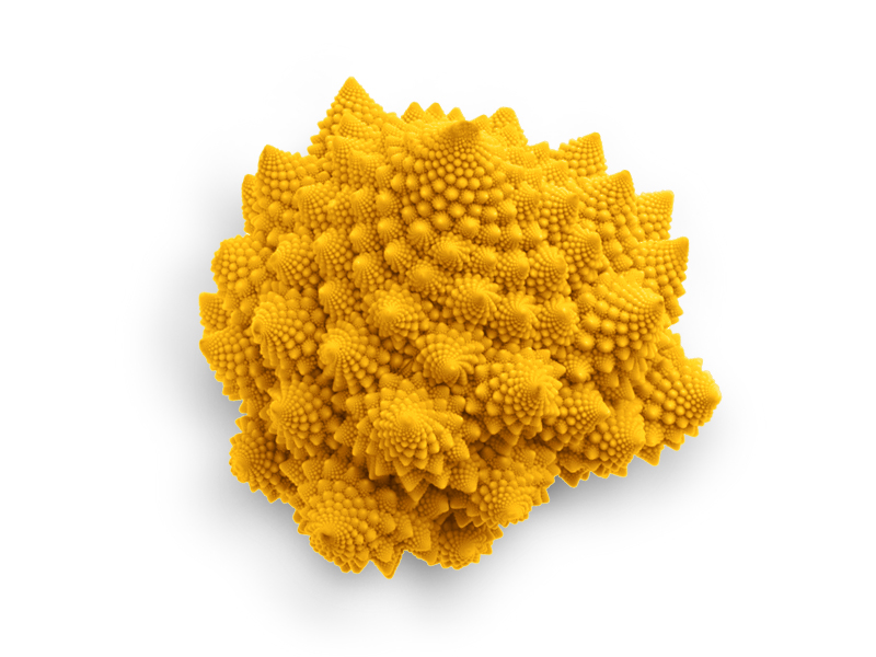 Cavolfiore romanesco arancione - Verdura - Linea Base - Orsini & Damiani